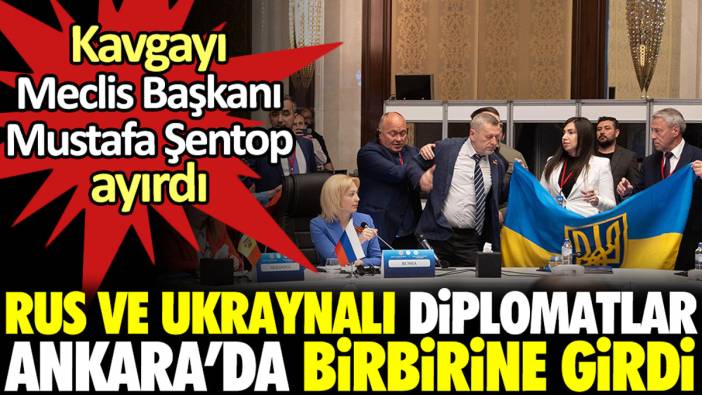 Rus ve Ukraynalı diplomatlar Ankara’da birbirine girdi. Kavgayı Mustafa Şentop ayırdı