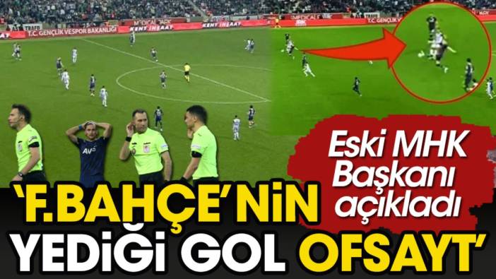 Fenerbahçe'nin yediği golün ofsayt olduğunu eski MHK Başkanı açıkladı