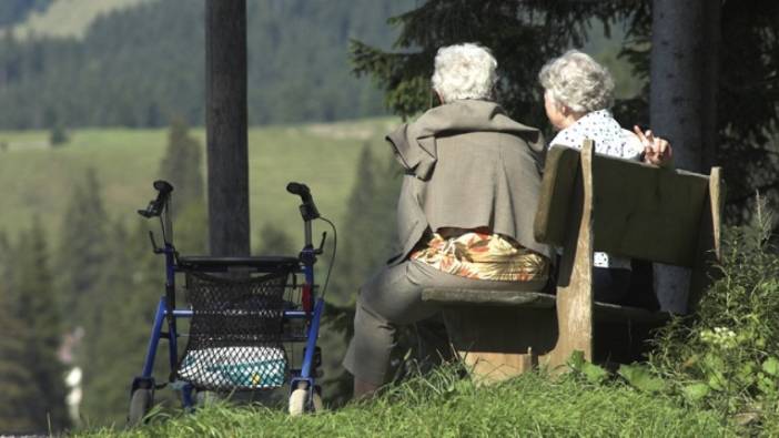 Nane ve biberiye Alzheimer’ın ilacı mı?