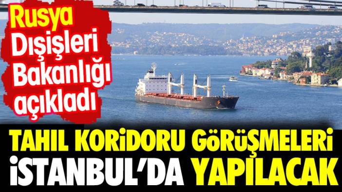 Rusya açıkladı. Tahıl koridoru görüşmeleri İstanbul'da yapılacak