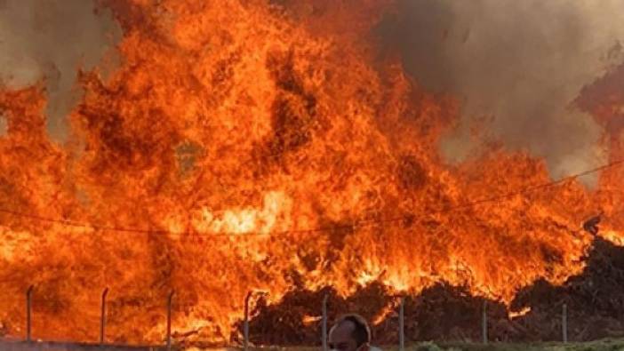 İran'da büyük yangın: Kentteki tüm ekipler olay yerine gönderildi