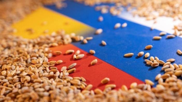 Ukrayna: Karadeniz Tahıl Girişimi'nin uzatılması için çalışıyoruz