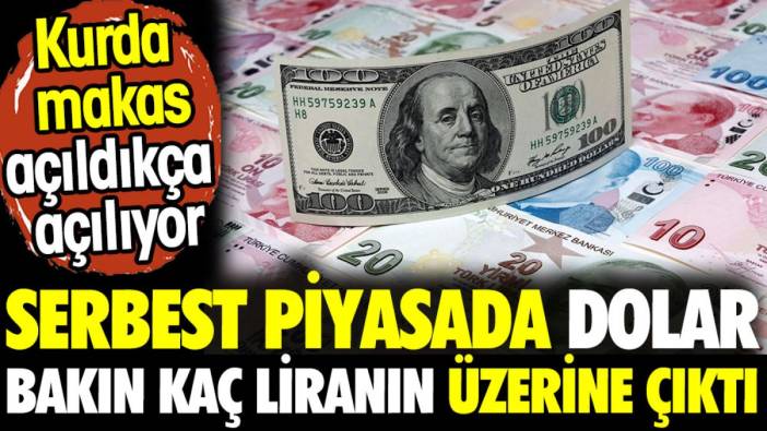 Serbest piyasada dolar bakın kaç liranın üzerine çıktı