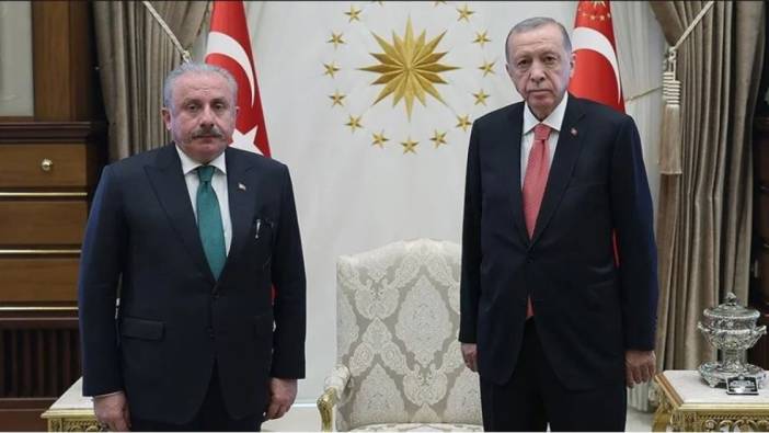 Erdoğan TBMM Başkanı Şentop'u kabul etti