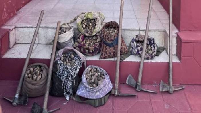 Salep soğanı toplayan 6 kişiye 680 bin lira ceza