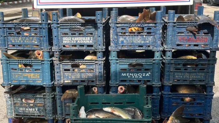 Elazığ'da kaçak avlanan 1 ton 400 kilogram balık ele geçirildi