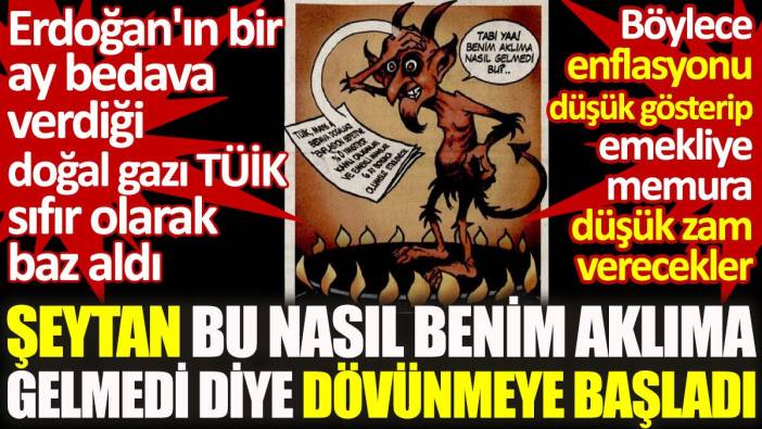 Şeytan bu nasıl benim aklıma gelmedi dedi. TÜİK maaşlara az zam olsun diye bedava verilen doğalgazı sıfır olarak hesapladı.