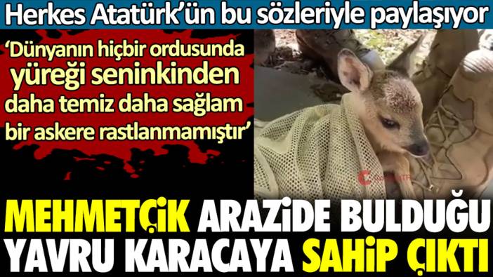 Mehmetçik arazide bulduğu yavru karacaya sahip çıktı. Herkes o anları sosyal medyada Atatürk’ün sözleriyle paylaştı