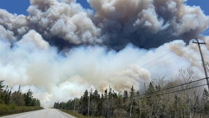Kanada'daki orman yangınlarında 3 milyon hektarlık alan zarar gördü