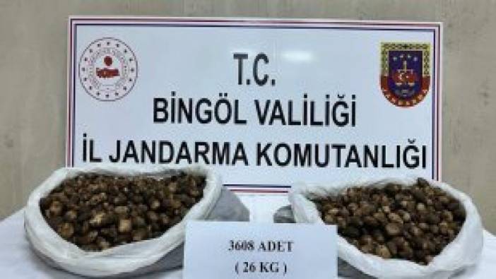 Bingöl'de kaçak salep soğanı toplayan 2 kişiye 488 bin 630 lira ceza