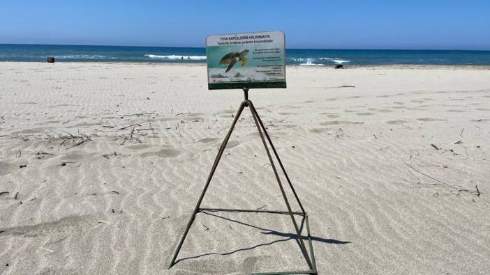 Caretta carettaların yuva alanı kumsalda ATV tepkisi