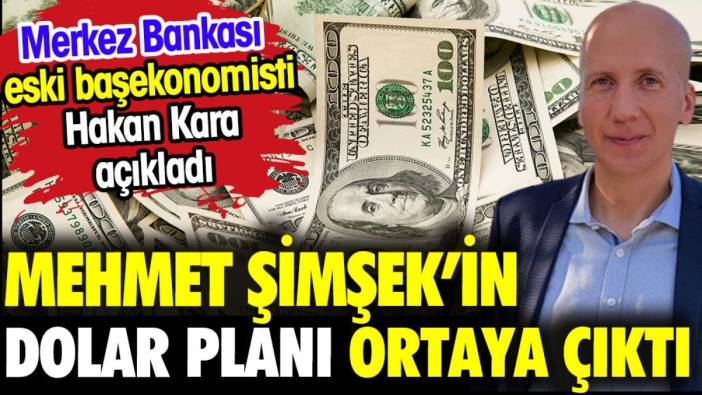 Mehmet Şimşek'in dolar planı ortaya çıktı. Merkez Bankası eski başekonomisti Hakan Kara açıkladı