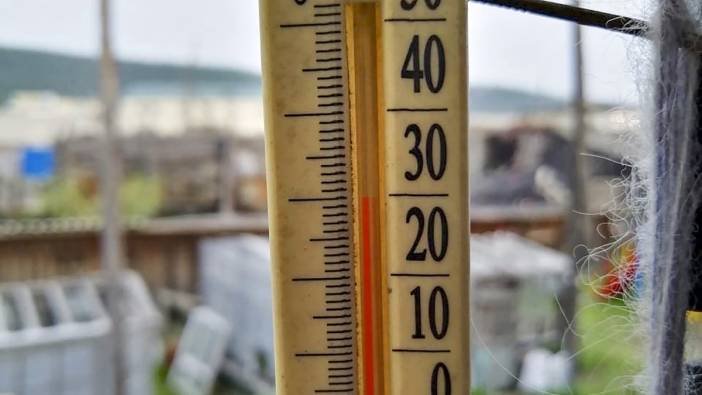 Sibirya'da rekor sıcaklık. Küresel iklim krizi dünyayı tehdit ediyor