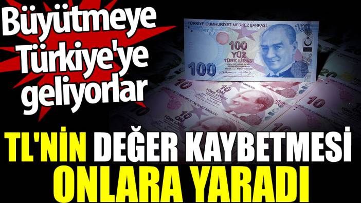 Türk Lirası'nın değer kaybetmesi onlara yaradı. Büyütmeye Türkiye'ye geliyorlar