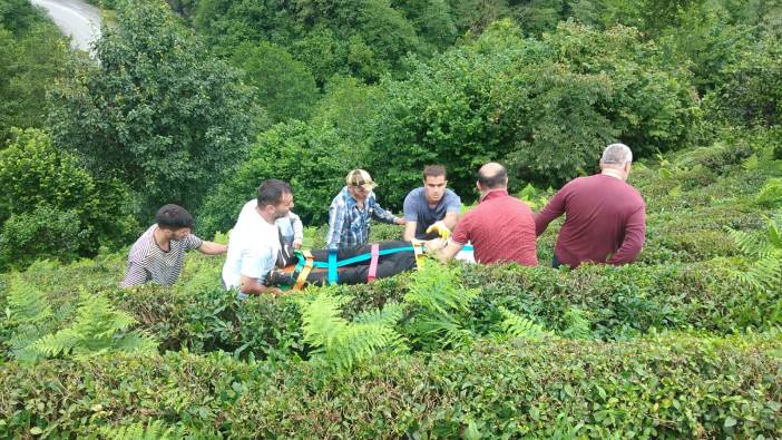 Çay bahçesine yuvarlanan kamyonetin sürücüsü yaralandı