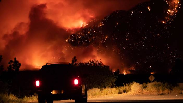 Kanada’daki orman yangınlarında 4,4 milyon hektarlık alan küle döndü