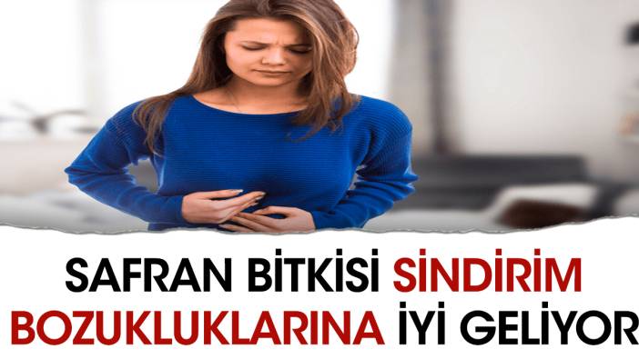 Mucize bitkisi sindirim bozukluklarına iyi geliyor