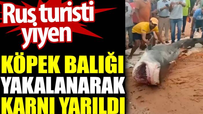 Rus turisti yiyen Köpek balığı yakalanarak karnı yarıldı