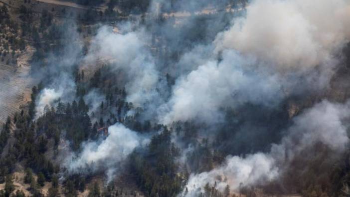 Kazakistan 7 gündür orman yangınıyla mücadele ediyor