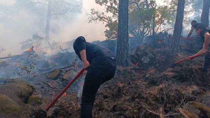 Muğla'da orman yangını. Rüzgar nedeniyle yayılan ateşler yarım hektarı kül etti