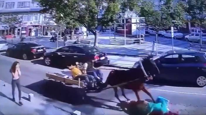 51 yaşındaki kadına at çarptı