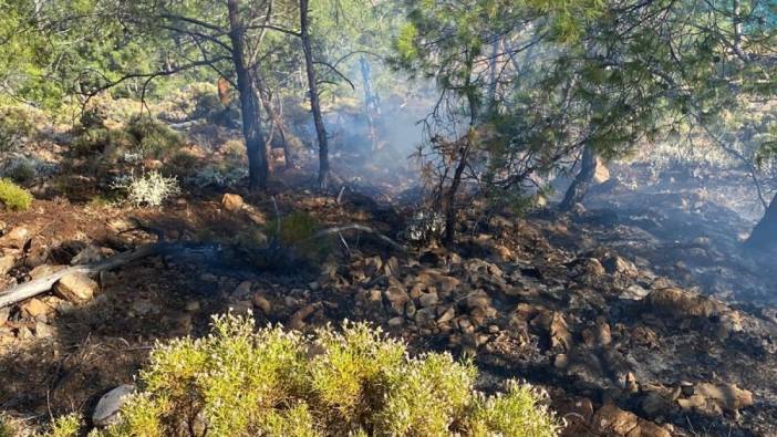 Muğla'da ormanlık alanda çıkan yangın söndürüldü