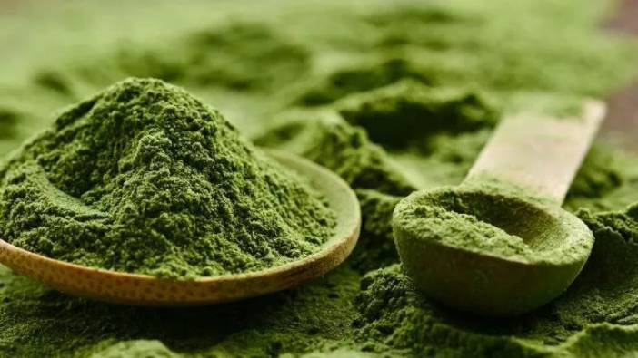 İşte o müthiş besin: Chlorella