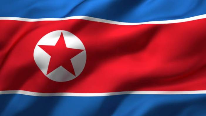 Kuzey Kore, askeri casus uydusunun düşmesinin "ciddi hata" olduğunu kabul etti