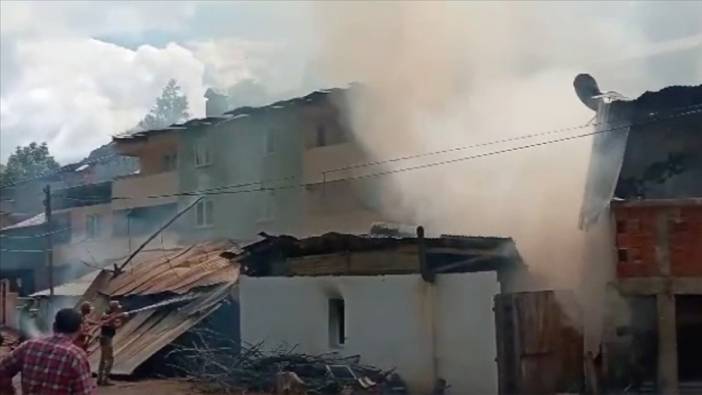 Erzurum'da evlere sıçrayan yangına müdahale ediliyor