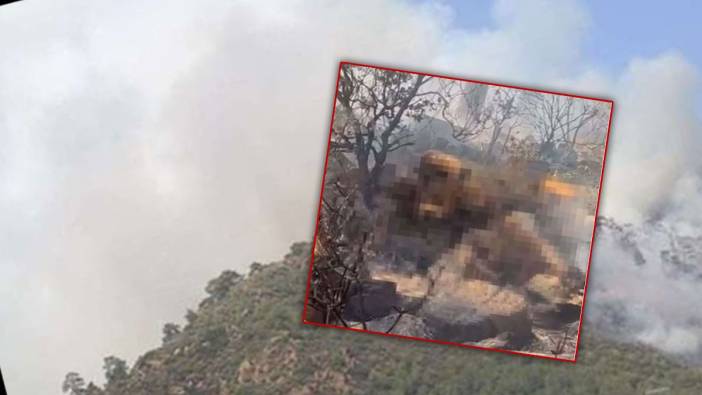 Marmaris'teki orman yangınında dehşete düşüren detay: Ormana atılıp cesedi ateşe verilmiş