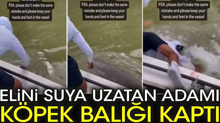 Elini suya uzatan adamı köpekbalığı kaptı