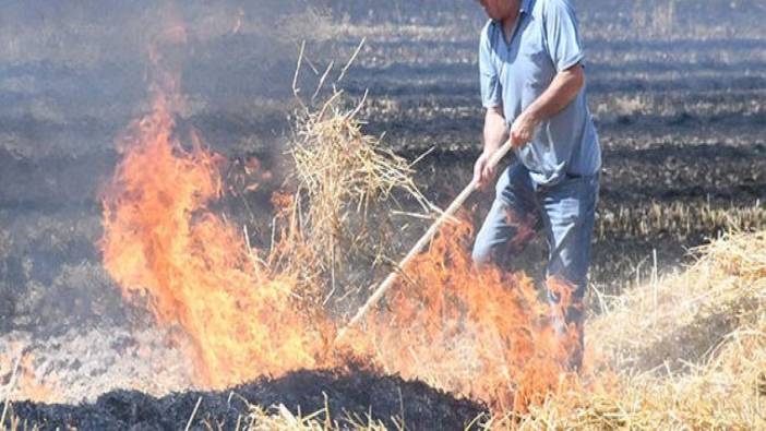 Buğday tarlasında yangın! 50 dönümlük ekili alan alev alev yandı