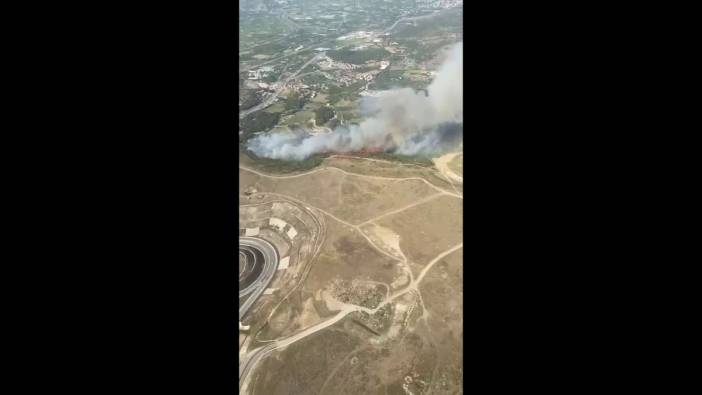 İzmir Menemen'de orman yangını. Havadan ve karadan müdahale başladı