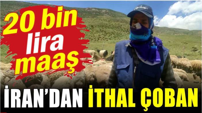 20 bin TL maaş: İran'dan ithal çoban