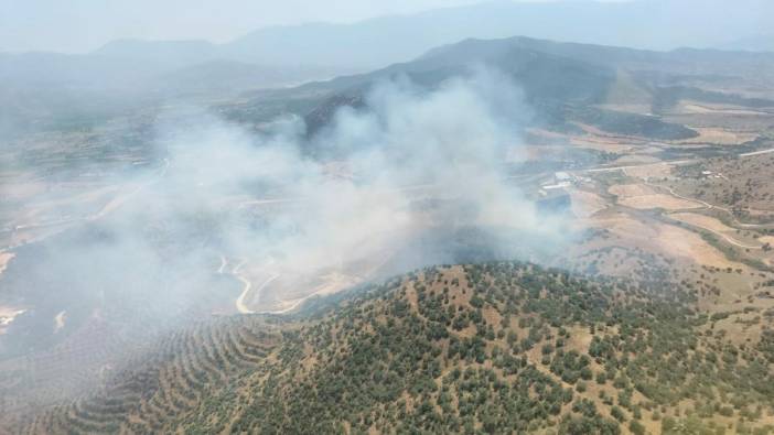 İzmir'de tarlada çıkan yangın ormana sıçradı