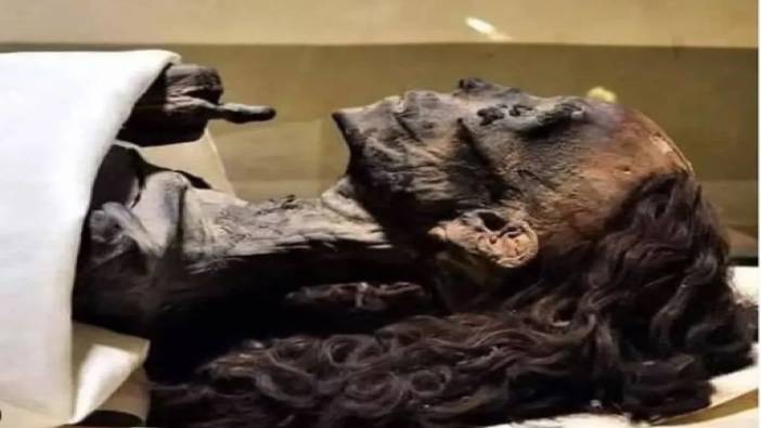 Mısır Kraliçesi Tiye'nin korunmuş kıvırcık saçları. 3500 yıl önce 60 yaşında ölmüştü