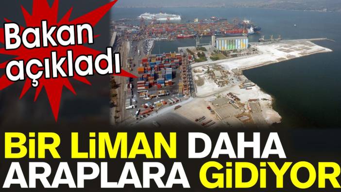 Bakan açıkladı: Bir liman daha Araplara gidiyor