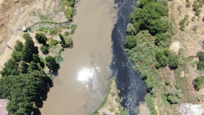 Dicle Nehri’nde korkutan görüntü