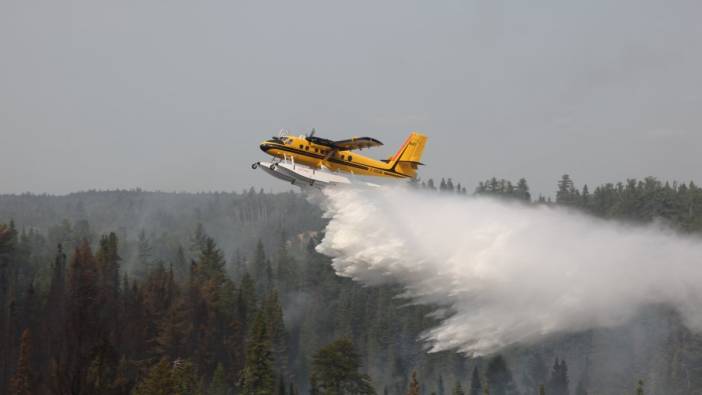 Kanada orman yangınlarına teslim: 8.8 milyon hektarlık alan kül oldu