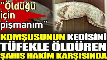 Komşusunun kedisini tüfekle öldüren şahıs hakim karşısında. 'Öldüğü için pişmanım'
