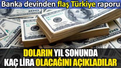 Doların yıl sonunda kaç lira olacağını açıkladılar. Banka devinden flaş Türkiye raporu