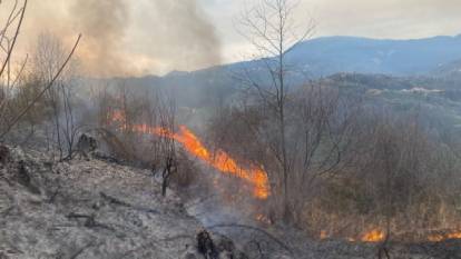 Artvin'de orman yangınında 1 hektar alan küle döndü