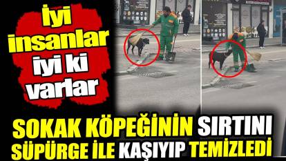 Bursa'da temizlik görevlisi sokak köpeğinin sırtını süpürge ile kaşıyıp temizledi! İyi insanlar iyi ki var