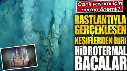 Rastlantıyla gerçekleşen keşiflerden biri: Hidrotermal Bacalar