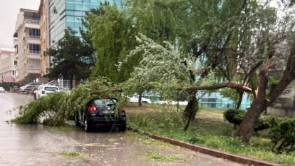 Ankara'da fırtına ve sağanak yağış nedeniyle ağaçlar devrildi