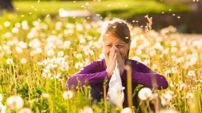 Çocukları polen alerjisinden koruma yöntemleri ortaya çıktı