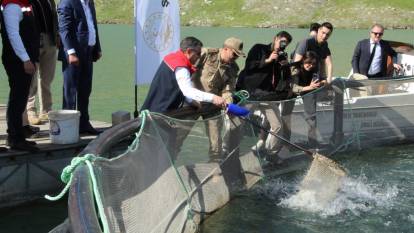 Şırnak'ta 30 ton balık hasat edildi