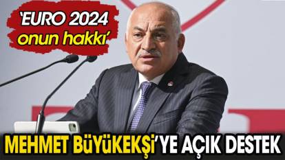 Mehmet Büyükekşi'ye açık destek. 'EURO 2024 onun hakkı'