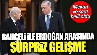 Erdoğan ile Bahçeli arasında sürpriz görüşme