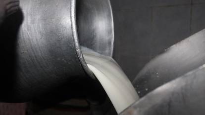 Türkiye’de süt üretimi azaldı